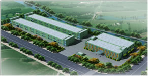 AVA Shanghai Manufacturing Facilities
